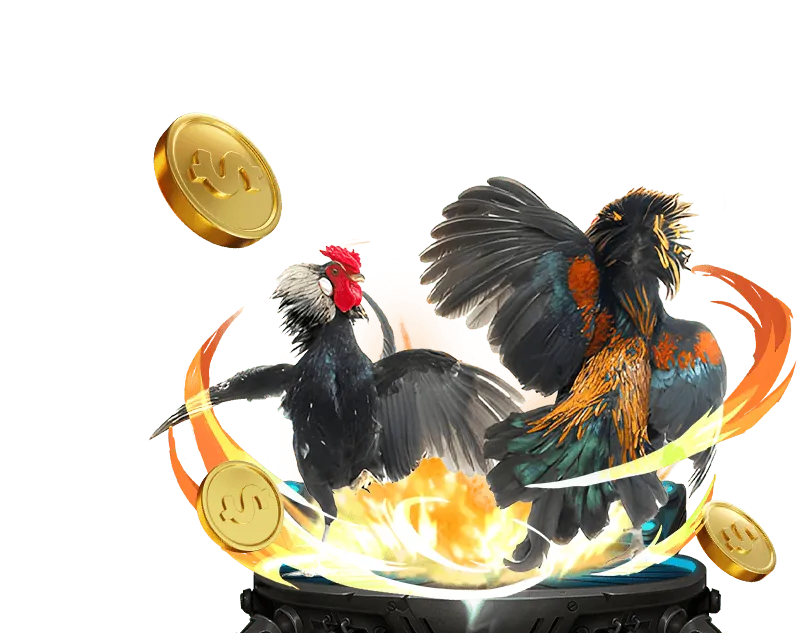 Đá gà trực tuyến Betvisa với những trận đấu kịch tính